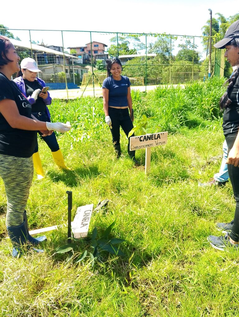 WhatsApp Image 2025-12-20 at 10.07.42 AM (3)