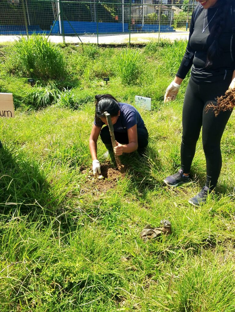 WhatsApp Image 2025-12-20 at 10.07.42 AM (5)